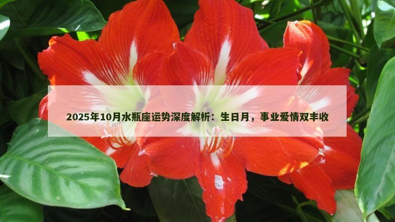 2025年10月水瓶座运势深度解析：生日月，事业爱情双丰收