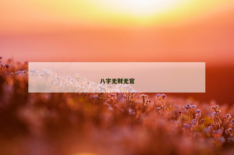 八字无财无官