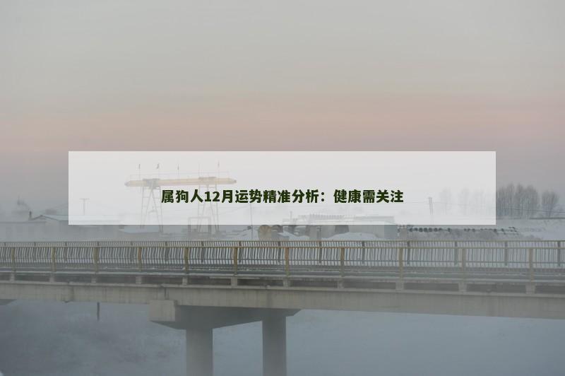 属狗人12月运势精准分析：健康需关注