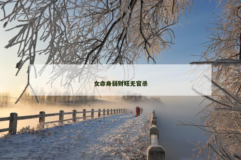 女命身弱财旺无官杀