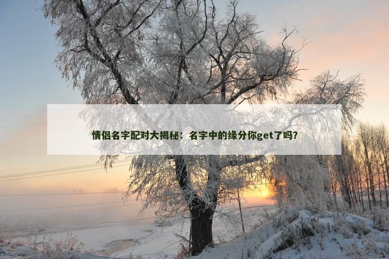 情侣名字配对大揭秘：名字中的缘分你get了吗？