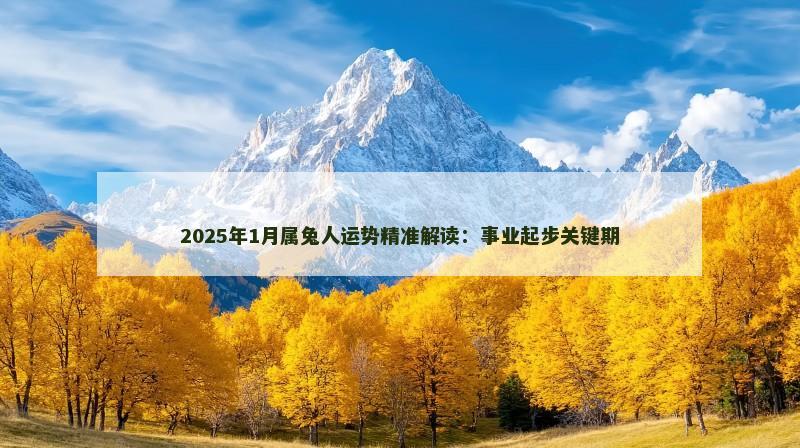 2025年1月属兔人运势精准解读：事业起步关键期