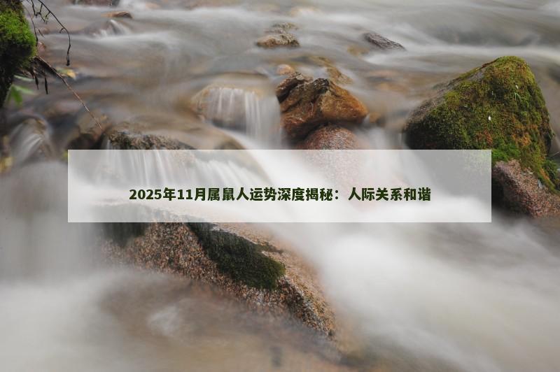 2025年11月属鼠人运势深度揭秘：人际关系和谐