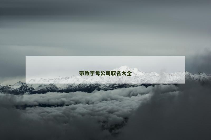 带致字母公司取名大全