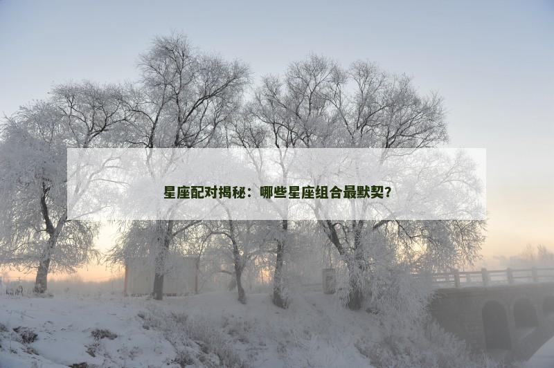星座配对揭秘：哪些星座组合最默契？
