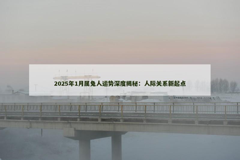 2025年1月属兔人运势深度揭秘：人际关系新起点