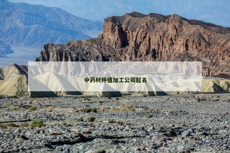 中药材种植加工公司起名