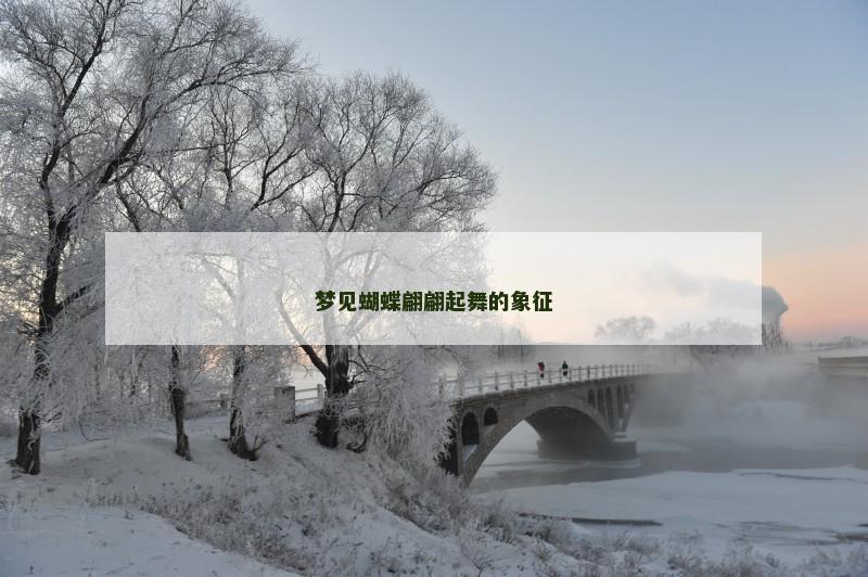 梦见蝴蝶翩翩起舞的象征