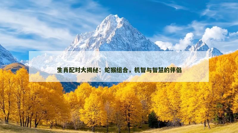生肖配对大揭秘：蛇猴组合，机智与智慧的伴侣