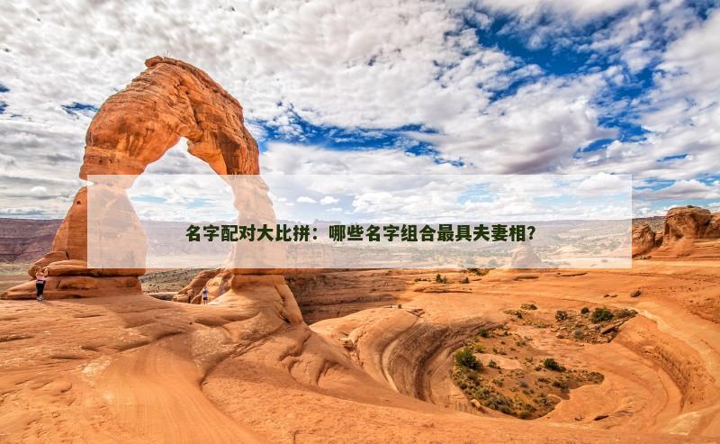 名字配对大比拼：哪些名字组合最具夫妻相？