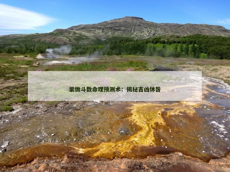 紫微斗数命理预测术：揭秘吉凶休咎