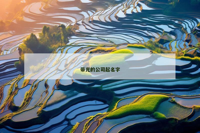 带光的公司起名字
