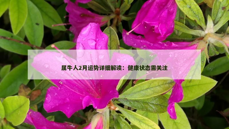 属牛人2月运势详细解读：健康状态需关注