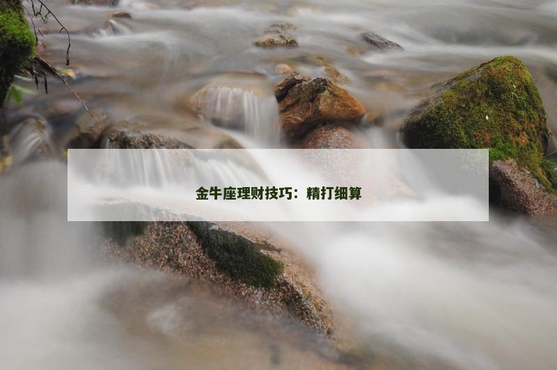 金牛座理财技巧：精打细算