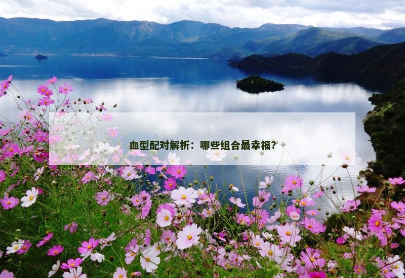 血型配对解析：哪些组合最幸福？