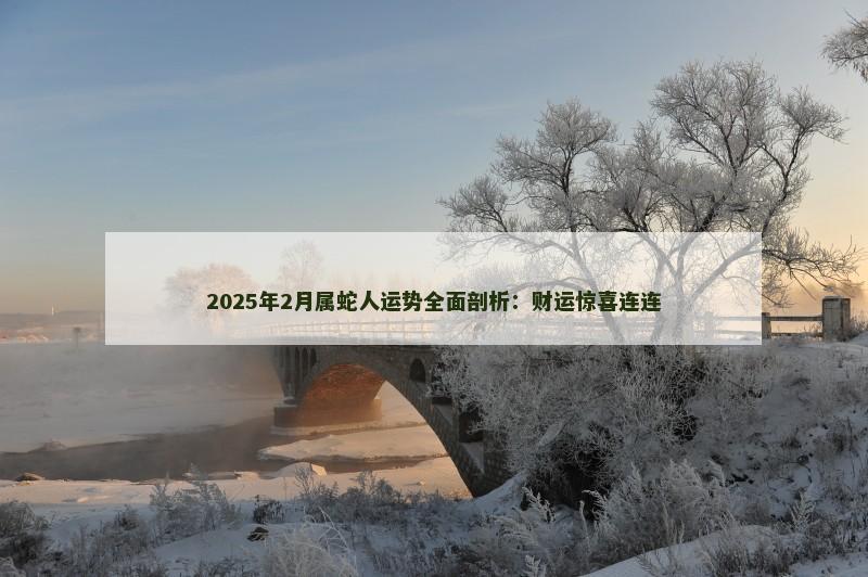 2025年2月属蛇人运势全面剖析：财运惊喜连连