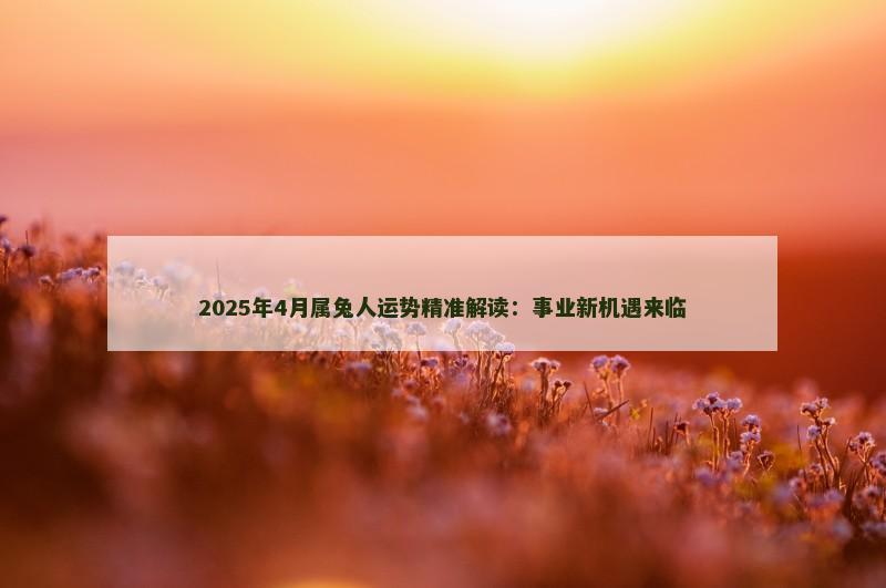 2025年4月属兔人运势精准解读：事业新机遇来临