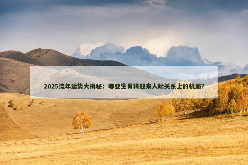 2025流年运势大揭秘：哪些生肖将迎来人际关系上的机遇？