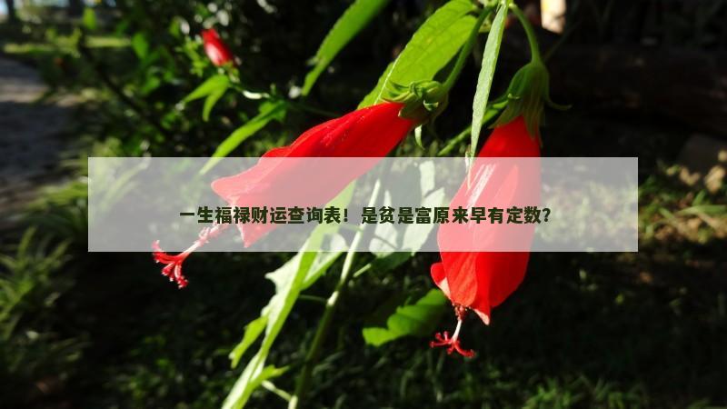 一生福禄财运查询表！是贫是富原来早有定数？