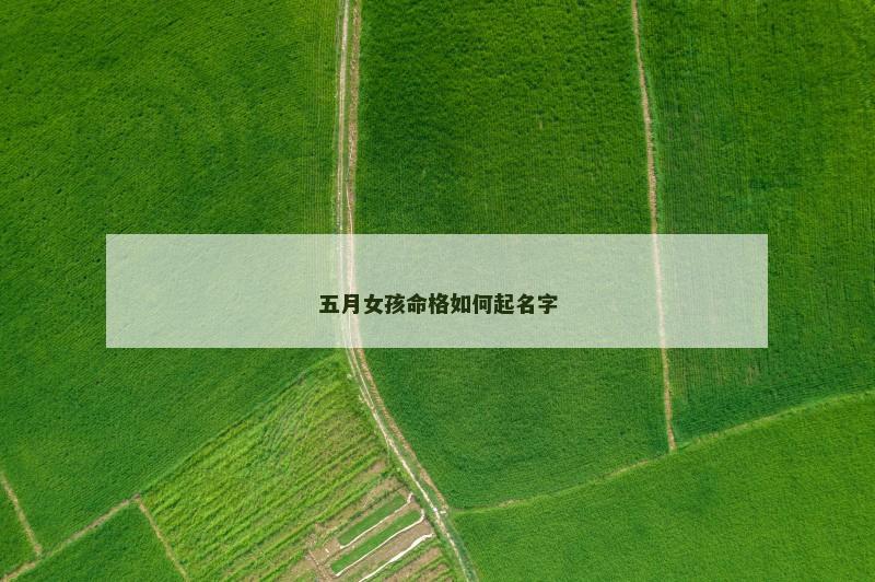 五月女孩命格如何起名字