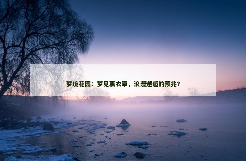 梦境花园：梦见薰衣草，浪漫邂逅的预兆？