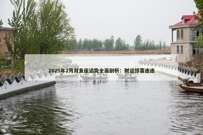 2025年2月双鱼座运势全面剖析：财运惊喜连连