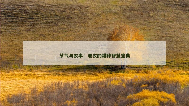 节气与农事：老农的耕种智慧宝典