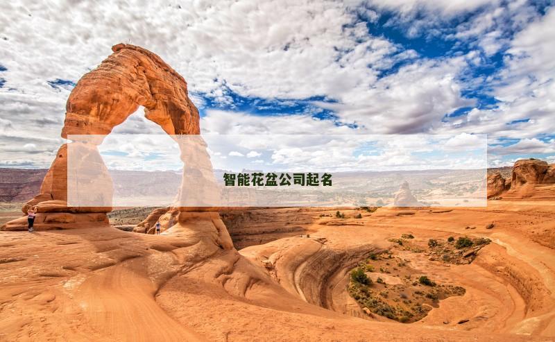 智能花盆公司起名