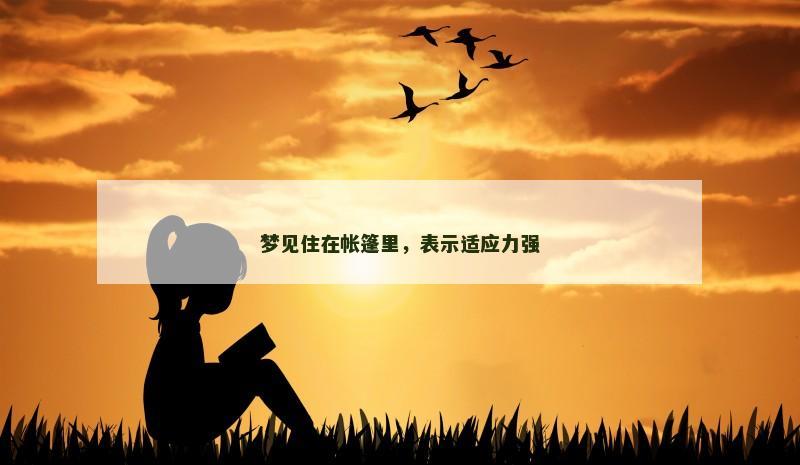 梦见住在帐篷里，表示适应力强
