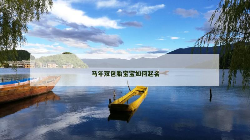 马年双包胎宝宝如何起名