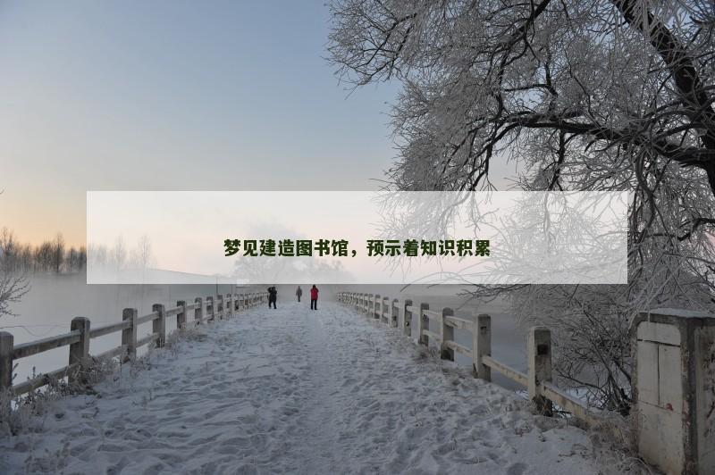 梦见建造图书馆，预示着知识积累